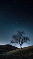 Fototapeta premium Starry night over a solitary tree on a hill