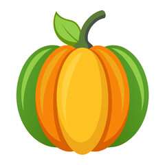 Minimalist color vector illustration of a fall gourd and vegetable