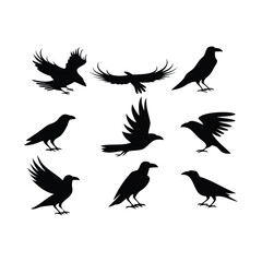 Crow and Raven Silhouettes – Black Bird Vector Set