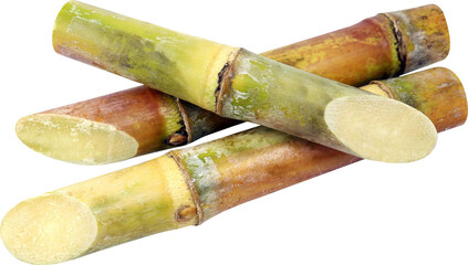 Sugar Cane Isolated On Transparent Background