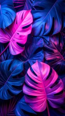 Vibrant Neon Pink and Blue Tropical Monstera Leaves Background.