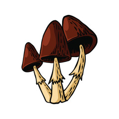 Cartoon Style Hand Drawn Mushroom Artwork