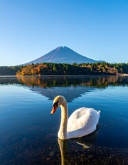 Serene swan on calm lake, mountain backdrop