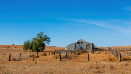 A classic corrugated iron shearing shed with adjoining timber and wire yards stands in the rural Victorian landscape, embodying Australia’s pastoral heritage. 