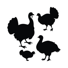 Silhouettes of Turkeys – Farm Bird Vector Set