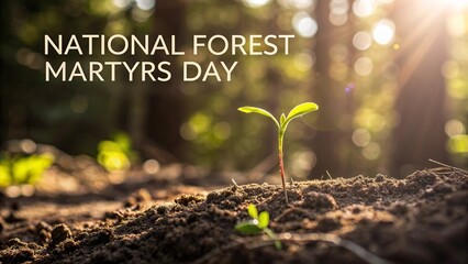 National Forest Martyrs Day, Sharp macro shot of tiny green sprout emerging from rich soil.