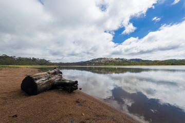 At Barkers Creek Reservoir in Harcourt, Victoria, a weathered stump rises from the still water, framed by drifting clouds above. The calm surface of the reservoir mirrors both the clouds and the stump