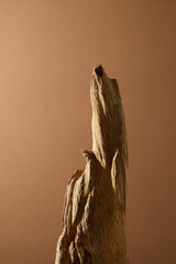 A tall piece of driftwood rising from white sand, photographed simply, creating a powerful minimal background for herbal products.