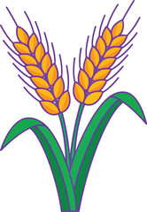 Golden wheat stalks with green leaves harvest agriculture grain food symbol vector illustration vector