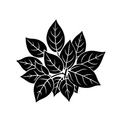 Symmetrical black and white illustration of a leafy plant for graphic designs