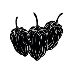 Three Black and White Scotch Bonnet Peppers, isolated on a white background