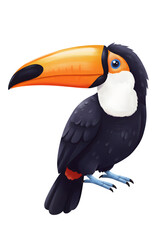 Vibrant Toucan Bird Illustration with Large Orange Beak and Blue Eye png clear alpha channel cutout isolated on transparent background
