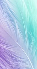 Fototapeta premium Close Up Of A Feather With Pastel Purple And Teal Gradient macro detail