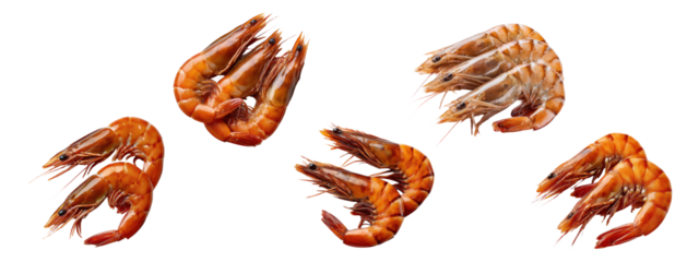 Set of fresh prawns isolated on trnsparent background

