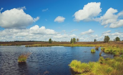 View of the beautiful moor landscape in the High Fens nature reserve