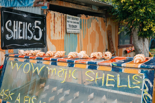 Roadside stall selling conch shells