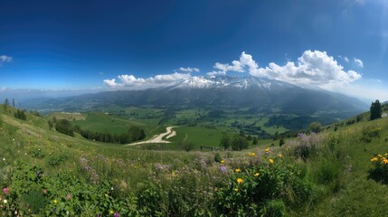 Fototapeta premium A breathtaking vista showcases a valley nestled amongst rolling hills and snow-capped mountains, bathed in vibrant sunlight and filled with a profusion of wildflowers.