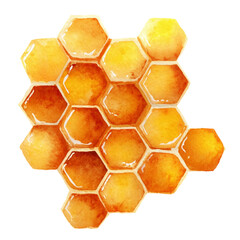  Honeycomb watercolor clipart on a white background.