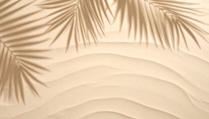 Palm Leaf Shadow on Sand Ripples Coastal Beach Scene © Liayja