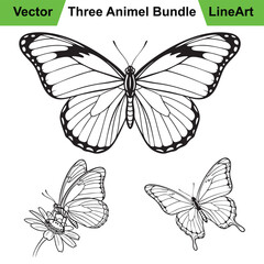 Three Distinct Butterfly Poses as a Clean Vector Line Art Set