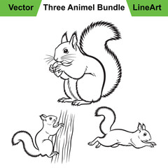 Assortment of Squirrel Illustrations in a Bold Line Art Style
