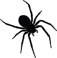 Spooky halloween spider silhouette graphic insect arachnid creepy crawler danger vector