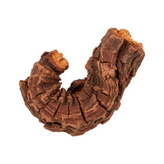 Intricate weathered wood fragment showcasing natural texture and organic shape, perfect for design elements.