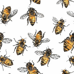 bee, insect, cartoon, honey, vector, animal, illustration, fly, wasp, yellow, nature, cute, isolated, bug, flying, bumblebee, flower, funny, sting, wing, wings, bees, mascot, black, art