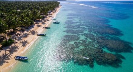 Paddleboarding in crystal clear turquoise water near a tropical beach with palm trees and small boats