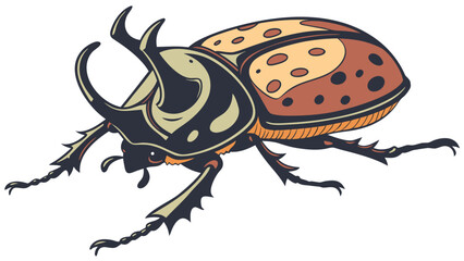 Detailed Beetle Insect Illustration