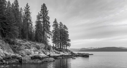 Lakeside Conifers and Rocky Shoreline in Monochrome Serenity, a Scenic Vista.