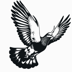 bird, animal, vector, illustration, cartoon, birds, silhouette, nature, cute, set, wing, design, drawing, pattern, duck, fly, pigeon, art, flying, icon, animals, feather, comic, funny, dove