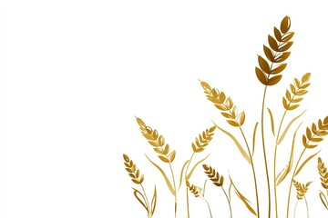 Golden wheat stalks on white background