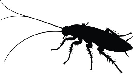 Cockroach silhouette insect pest silhouette macro isolated vector