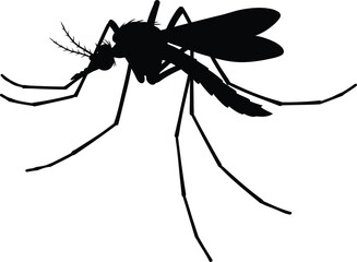 Mosquito silhouette icon vector insect pest danger threat summer swarm vector