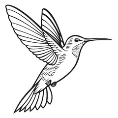 Obraz premium A black and white line art illustration of a hummingbird hovering in mid-air with its wings spread.