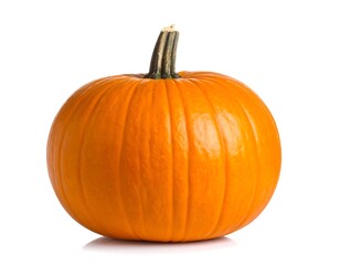 Obraz premium Single orange pumpkin