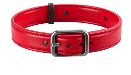 Red dog collar isolated on a transparent background, provided as a PNG file.
