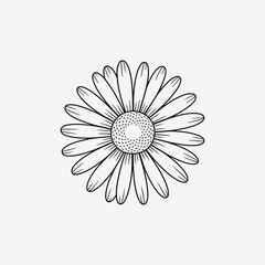 Fototapeta premium Vector art of detailed daisy flower illustration, showcasing the intricate patterns and textures of a beautiful floral design