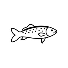 trout with spotted skin isolated