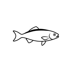 whitefish isolated
