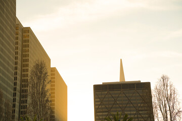 Fototapeta premium sunset over the city