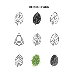 Mint Leaf Icons:  Vector Graphic Set, Line Art, Silhouette, and Watercolor Styles