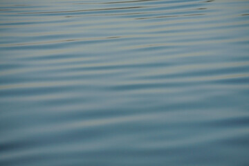 Naklejka premium blue water surface ripples