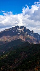 Obraz premium Mountain View Autumn Colors