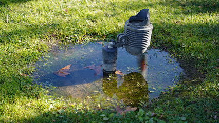 walking in the grass