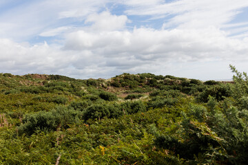 A sunny summer countryside landscape in Northern Ireland.