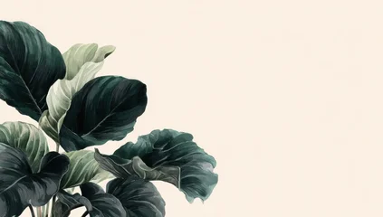 Fototapete Badezimmer Botanical illustration of lush dark green and light green leaves on a pale beige background  © Kuyari