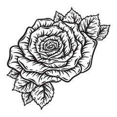 illustration art hand drawn black and white rose flower tattoo and t-shirt design