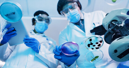 Below, people and scientist with petri dish in lab for testing sample, experiment and research. Staff, team and tablet with multiple liquid of chemical reaction, medical study and pathogen detection